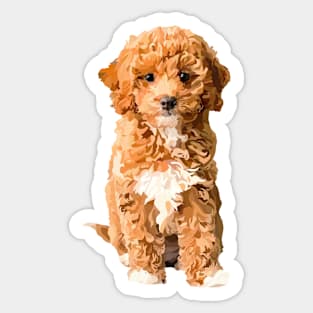 cockapoo doodle Sticker